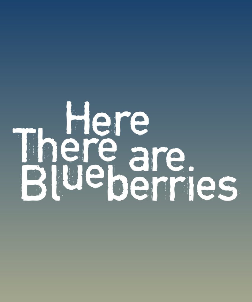 The words Here There Are Blueberries appear in white on a subdued blue background.