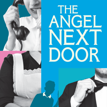Several boxes with images including a woman on the phone, a woman in a maid's outfit, and a man in a suit tightening his black bowtie. White text on a blue background reads "The Angel Next Door"